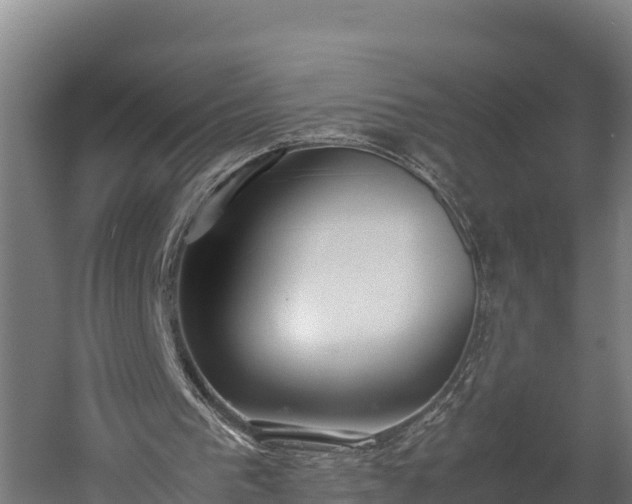 X0000060230193200511041239