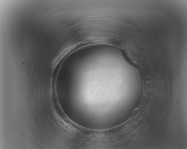 X0000060230194200511041239