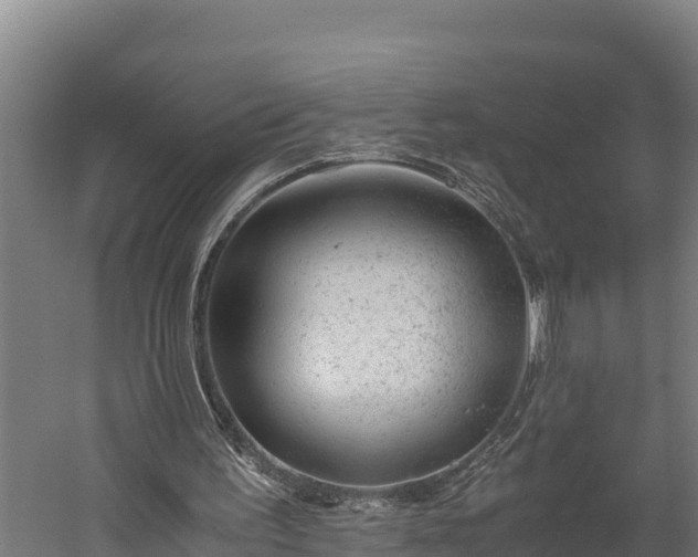 X0000060230195200511041239