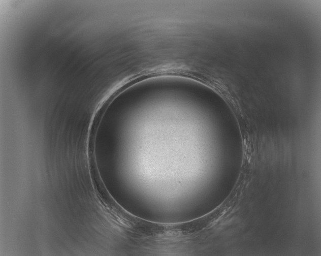 X0000060230196200511041239