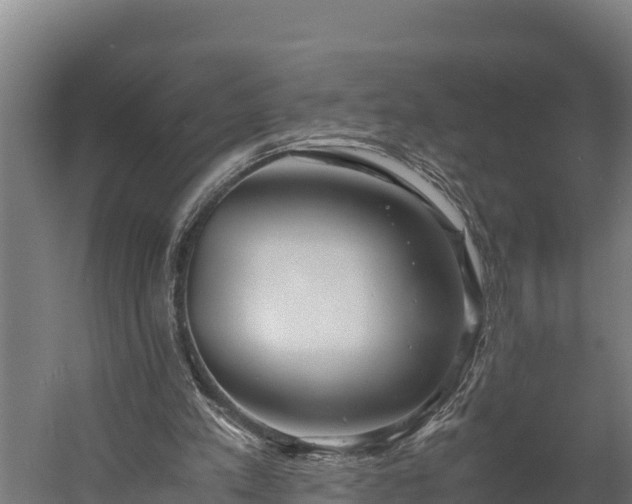 X0000060230197200511041239