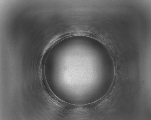 X0000060230198200511041239