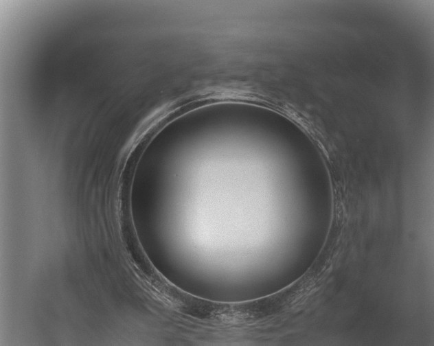 X0000060230199200511041239