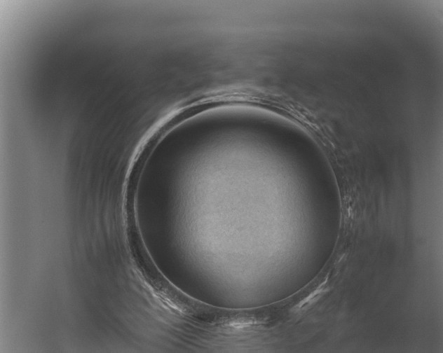 X0000060230200200511041239