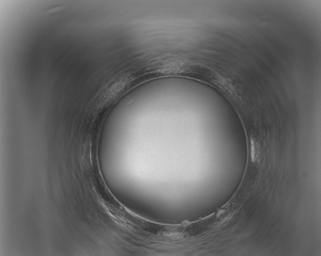 X0000060230205200511041239