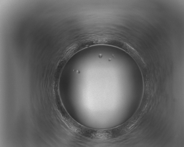 X0000060230209200511041239