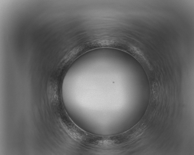 X0000060230212200511041239