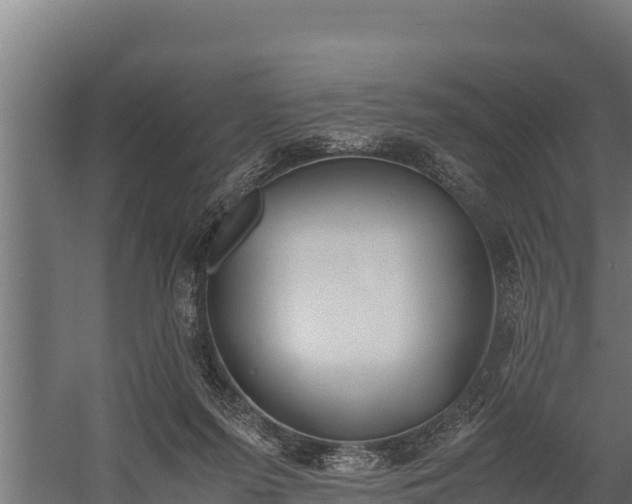 X0000060230215200511041239