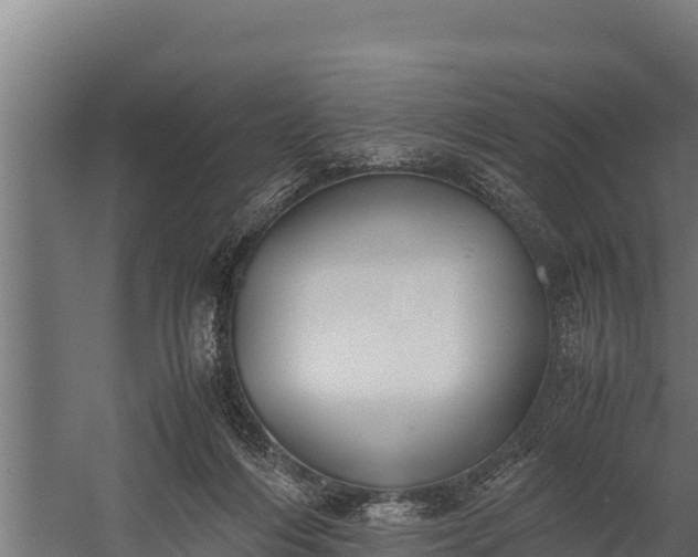 X0000060230216200511041239