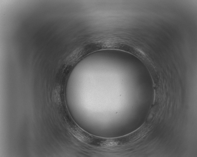 X0000060230217200511041239