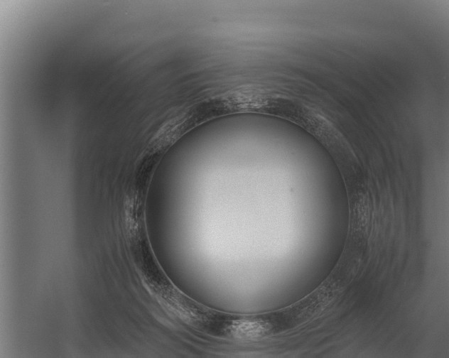 X0000060230218200511041239