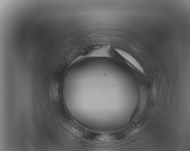 X0000060230219200511041239