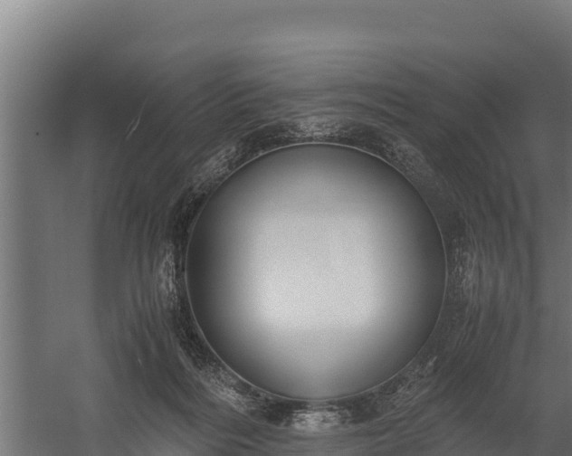 X0000060230220200511041239