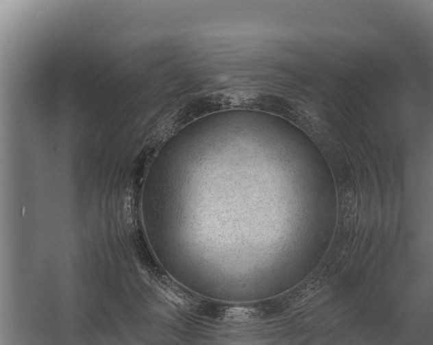 X0000060230222200511041239