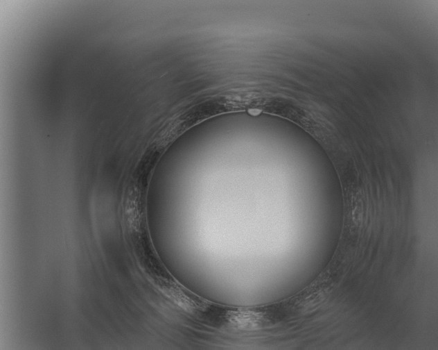 X0000060230226200511041239