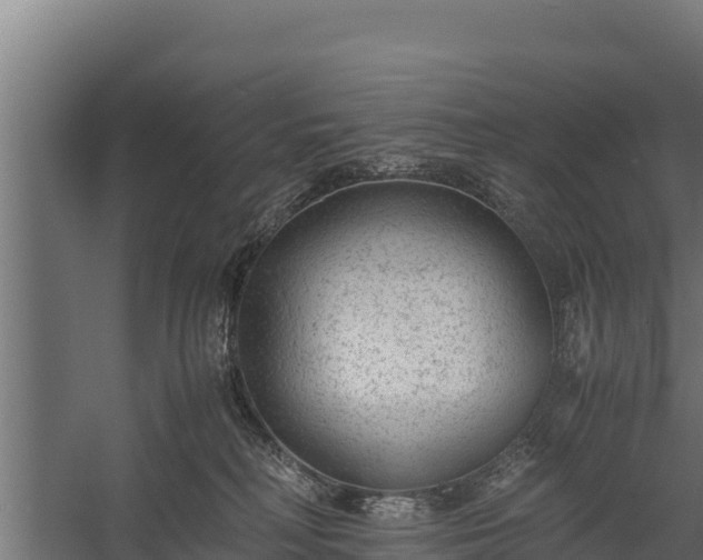 X0000060230230200511041239