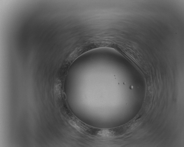 X0000060230231200511041239