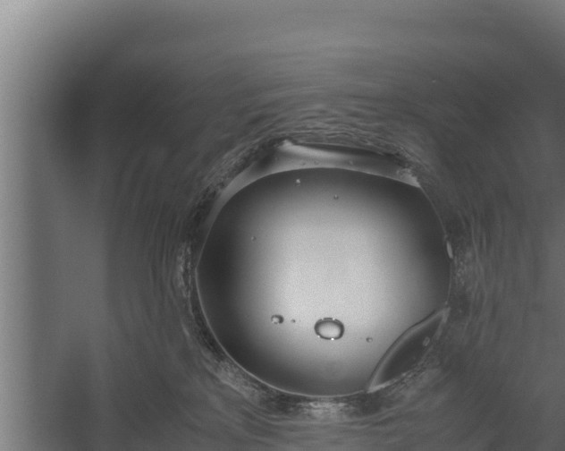 X0000060230233200511041239