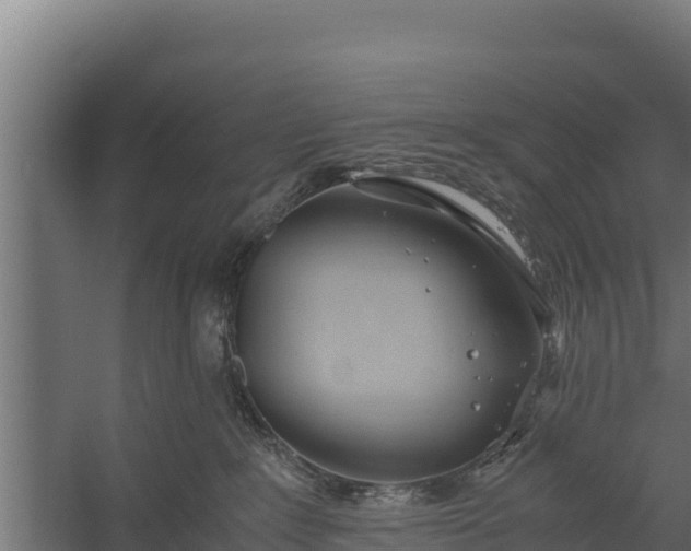 X0000060230235200511041239