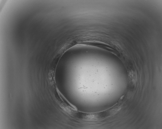 X0000060230237200511041239