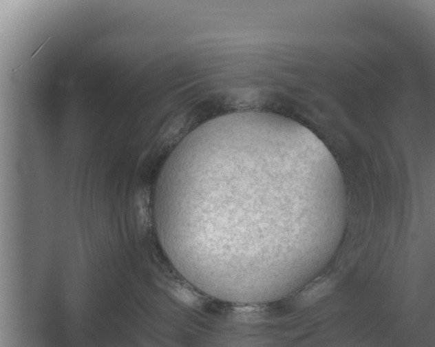 X0000060230240200511041239