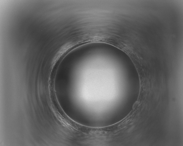 X0000060230242200511041238