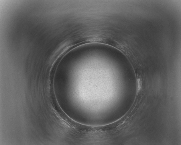 X0000060230243200511041238