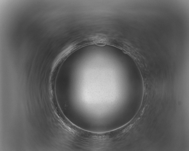 X0000060230245200511041238