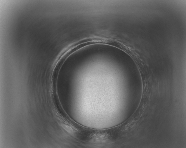 X0000060230247200511041238