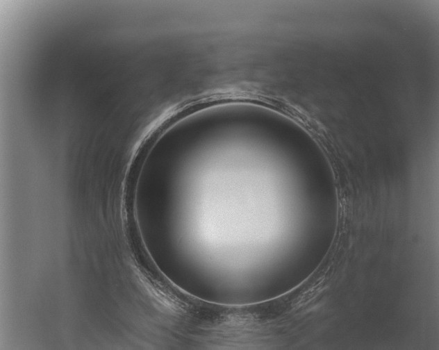 X0000060230248200511041238