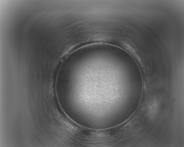 X0000060230249200511041238