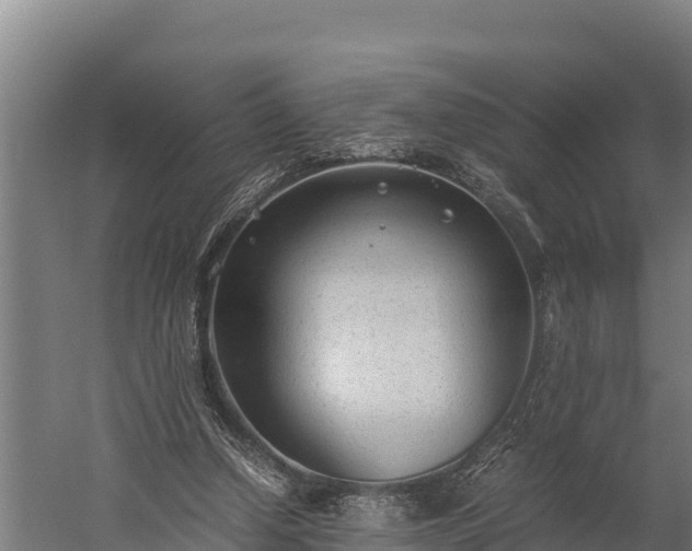 X0000060230250200511041238