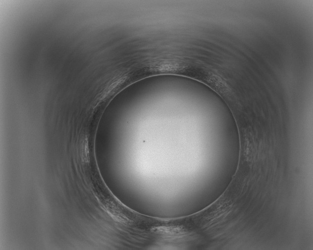 X0000060230251200511041238