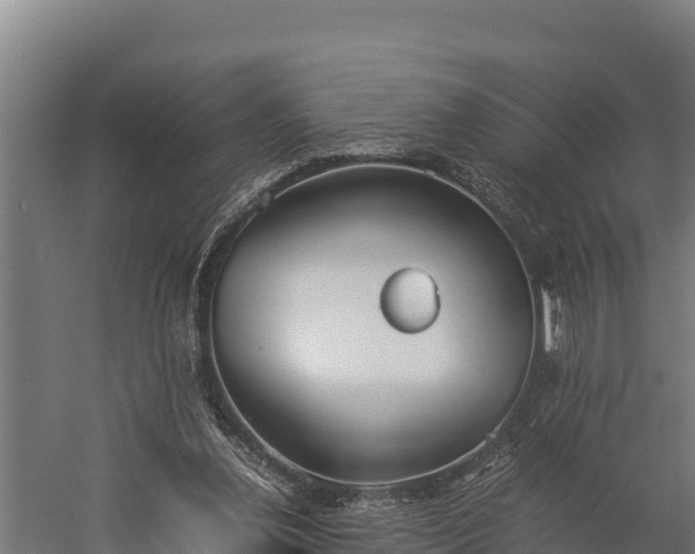 X0000060230252200511041238