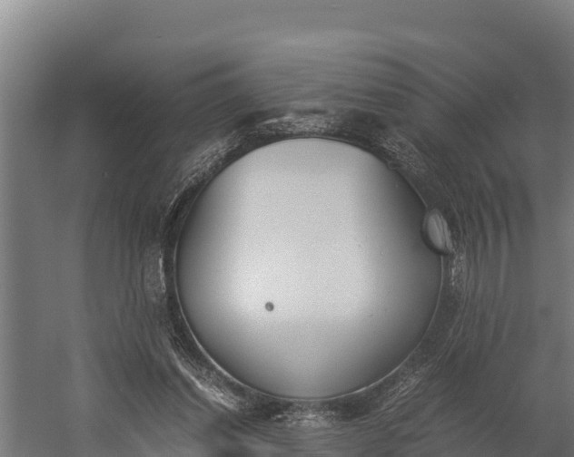 X0000060230254200511041238