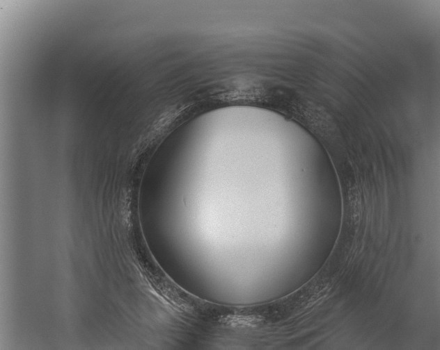 X0000060230255200511041238