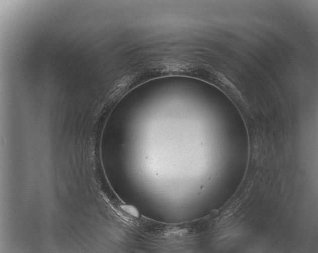 X0000060230257200511041238