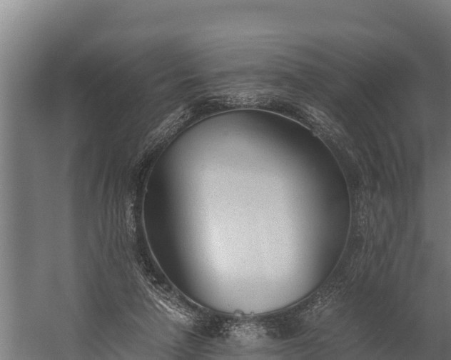 X0000060230258200511041238