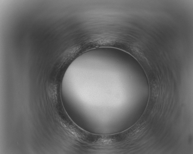 X0000060230260200511041238