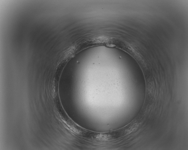 X0000060230261200511041238