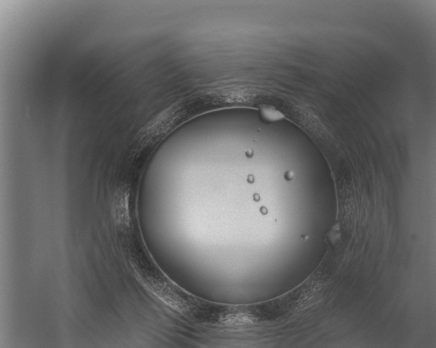 X0000060230262200511041238