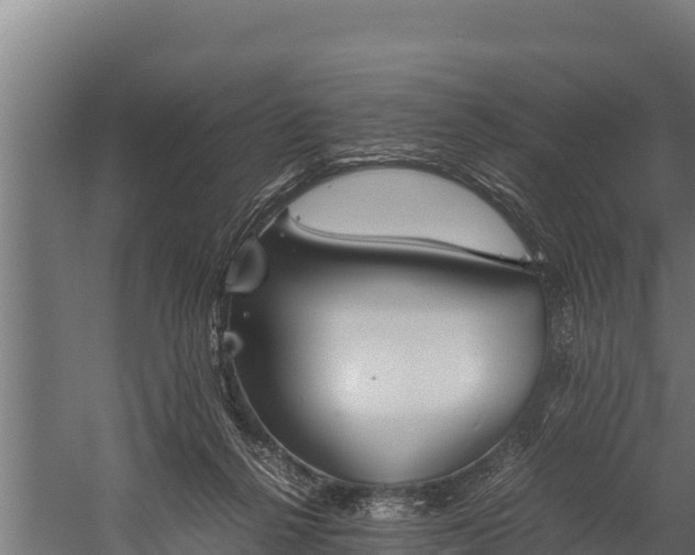 X0000060230264200511041238