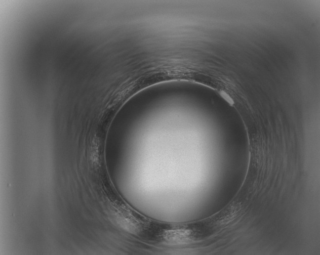 X0000060230266200511041238