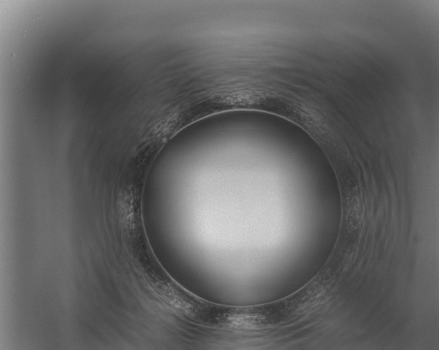 X0000060230268200511041238