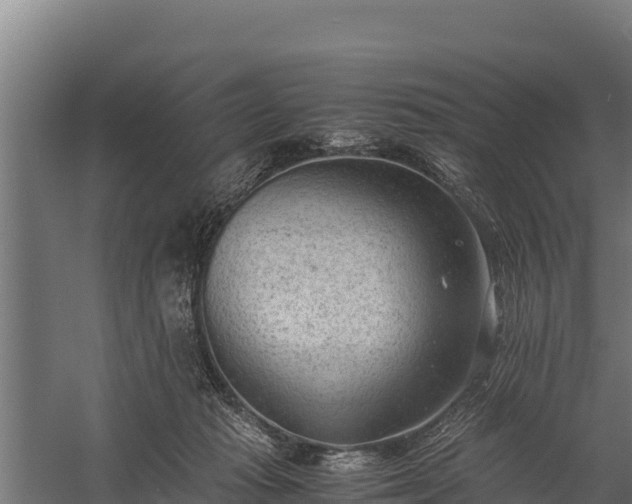 X0000060230269200511041238