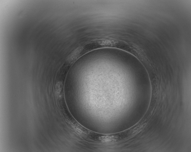 X0000060230273200511041238