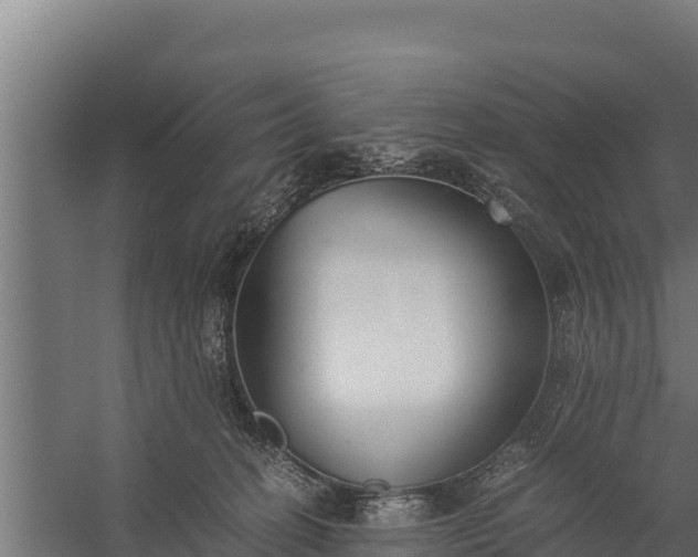 X0000060230274200511041238