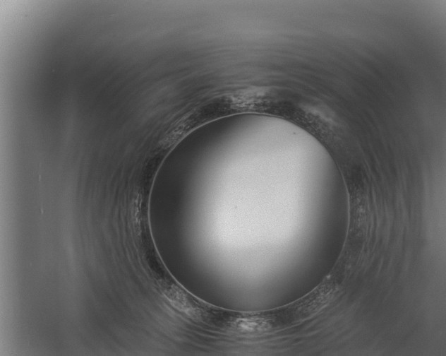 X0000060230275200511041238