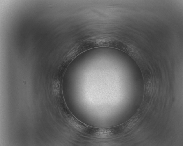 X0000060230278200511041238