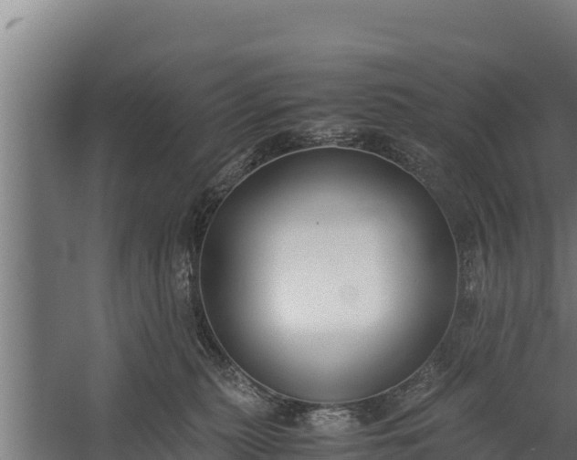 X0000060230279200511041238